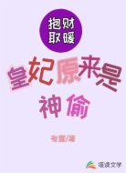 抱财取暖：皇妃原来是神偷