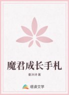 魔君成长手札