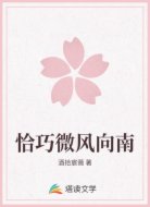 恰巧微风向南