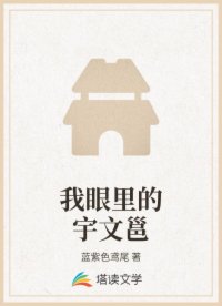 我眼里的宇文邕