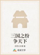 三国之纷争天下
