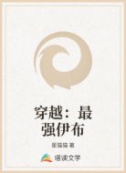 穿越：最强伊布