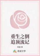 重生之倒追顶流记