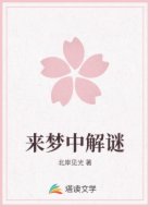 来梦中解谜