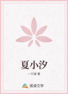 夏小汐