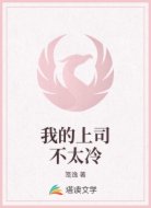 我的上司不太冷
