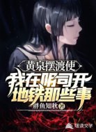 黄泉摆渡使：我在阴司开地铁那些
