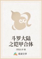 斗罗大陆之铠甲合体