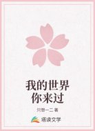 我的世界你来过
