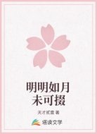 明明如月未可掇