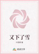 又下了雪