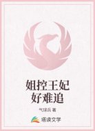 姐控王妃好难追