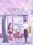 隐婚老公轻点宠