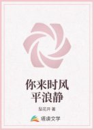 你来时风平浪静