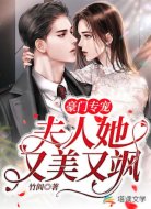 豪門專寵:夫人她又美又颯