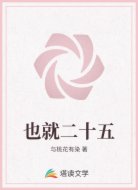 也就二十五