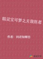 精灵宝可梦之无敌医者
