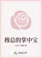 穆总的掌中宝