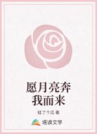 愿月亮奔我而来