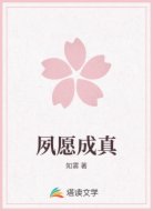 夙愿成真