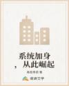 系統(tǒng)加身，從此崛起