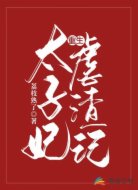 太子妃重生虐渣記