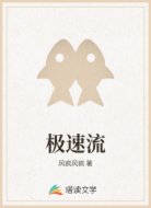 极速流