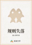 规则失落