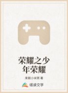 荣耀之少年荣耀