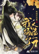 我捅了大佬一刀