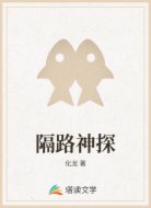 隔路神探