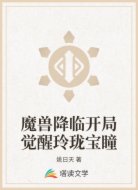魔兽降临开局觉醒玲珑宝瞳