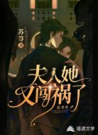 夫人她又闯祸了