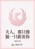 夫人，那只傻猫一只跟着你