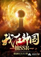 我在神国抽SSR