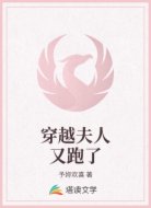 穿越夫人又跑了
