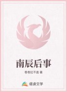南辰后事