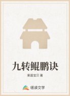 九转鲲鹏诀