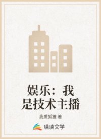 娱乐：我是技术主播