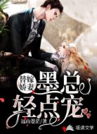 替嫁娇妻:墨总轻点宠