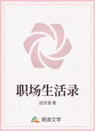 职场生活录