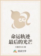 命運(yùn)軌跡最后的光芒