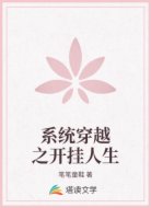 系统穿越之开挂人生