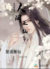 人间正仙