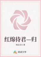 红绵待君—归