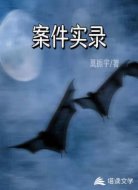 案件实录
