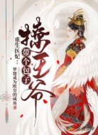 重生医妃:带个包子撩王爷