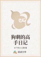 狗剩的高手日记