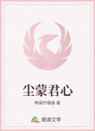 尘蒙君心