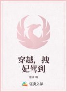 穿越，拽妃驾到